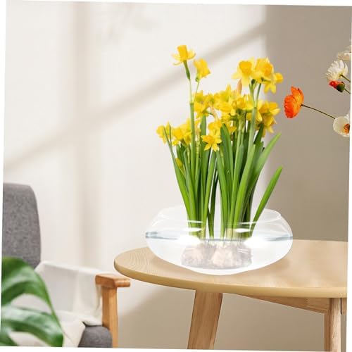 BESPORTBLE Glass Plant Pot Water Container for Flowers and Green Plants - Image 6