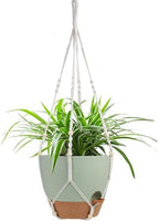 Vanslogreen 12 Inch Hanging Planters for Indoor Outdoor Plants, Self Watering Hanging Pot with Drainage Holes & Removable Tray, Macrame Plant Hanger for Boho Home Decor (Ivory+White) (Ivory+Green) by Vanslogreen