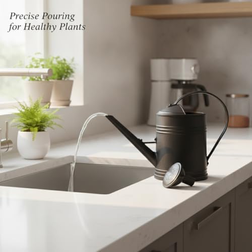 2L Plastic Watering Can with Long Spout & Detachable Rose Head, Lightweight Indoor Plant Waterer for Precise Root Irrigation - Image 2