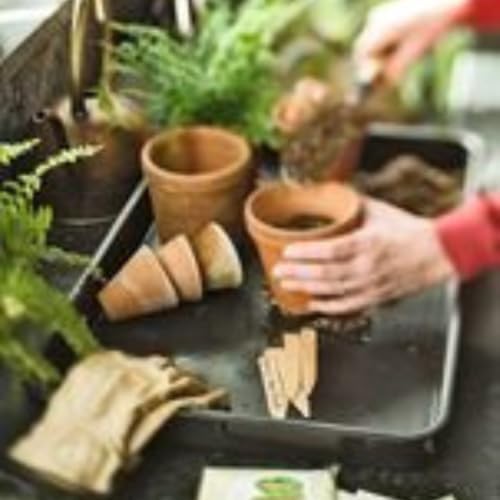 Gardener's Supply Company Small Plant Tray - Image 2