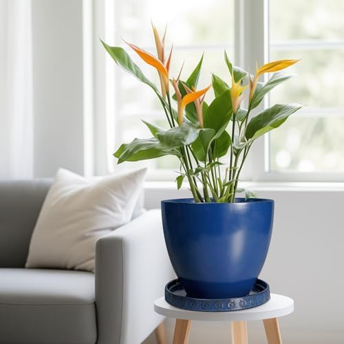 Eightpot Plant Saucer 9.3 Inch - Ceramic Plant Saucer for Indoors Outdoors Plant Water Catcher Tray Plant Drainage Tray Decorative Flower Pot Saucer Plant Plates Blue - Image 6