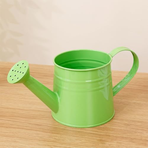 1L Retro Metal Painted Watering Can with Long Spout & Handle - Image 3