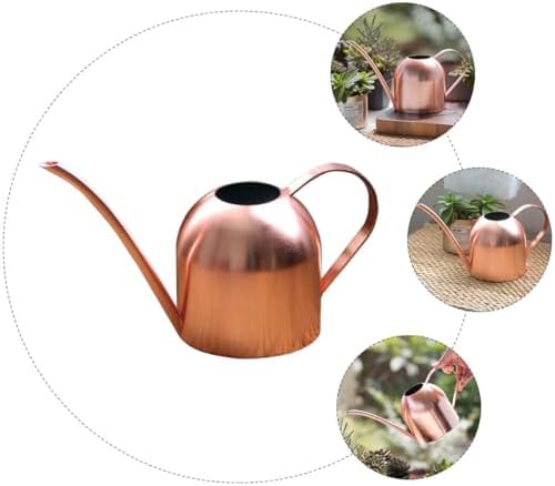 Stainless Steel Long Spout Watering Pot 500ml for Flowers - Image 3