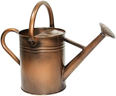 Galvanized Metal Watering Can 1 Gallon for Outdoor Garden Plants by yourjoy