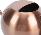 Stainless Steel Watering Can Metal Plant Watering Can Indoor Plant 1000ml Round Long Spout Detachable Head Comfortable Handle for Home Garden Flower (Bronze) - Image 7