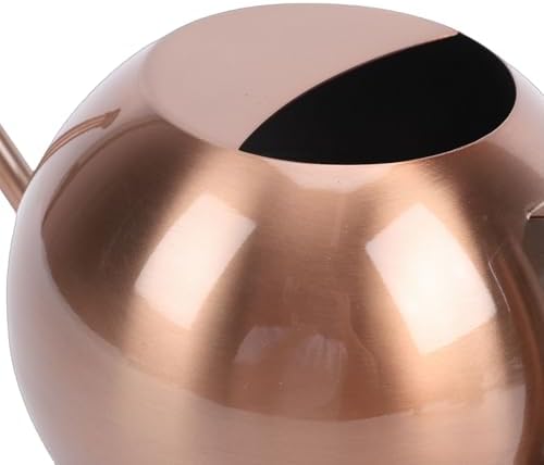 Stainless Steel Watering Can Metal Plant Watering Can Indoor Plant 1000ml Round Long Spout Detachable Head Comfortable Handle for Home Garden Flower (Bronze) - Image 7