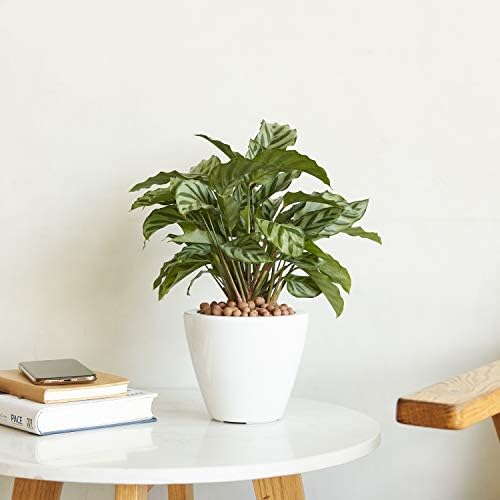 Self-Watering Planters, 2-Pack, 10.2 Inch, White - Image 2