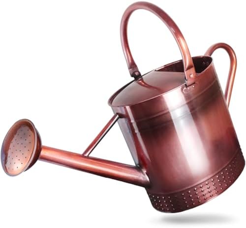 2 Gallon Meltal Garden Watering Can Removable Spout, Galvanized Steel Large Water Can with Embossed Design for Outdoor Indoor Plants (Copper, 2 Gallon) by Megawodar