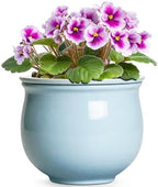 Ceramic African Violet Pots for Indoor Plants, 6 Inch Self Watering Planters with Absorbent Inner Pot, Self Watering Plant Pot, Ceramic Flower Pots, Desk Decor, Housewarming Gifts, Light Blue by Teagas