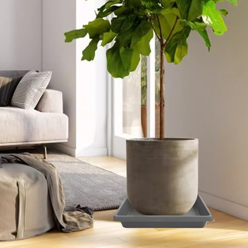 16 Inch Square Plant Saucer 2 Pack, Plant Saucers for Indoors, Large Heavy Duty Plastic Flower Plant Trays for Pots, Under Plant Water Catcher Tray for Potted Plants Outdoors Planter Water Tray - Image 7