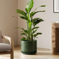 LE TAUCI 12 Inch Pots for Plants, Ceramic Planter with Saucer, Forest Green by LETAUCI