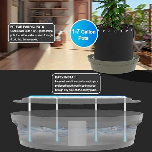 5-Pack Self-Watering Base with Visible Water Level - Image 2