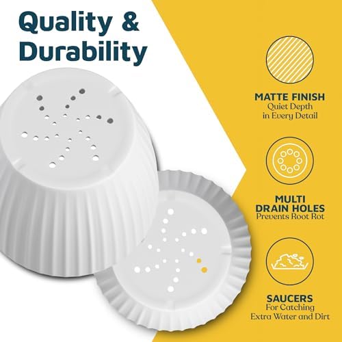 White 6-Inch Plant Pots with Drainage & Saucers 24 Pack, Indoor & Outdoor Planters for Houseplants, Herbs, and Flowers, Durable & Weatherproof Material, Stackable, Lightweight, Minimalist Design - Image 6