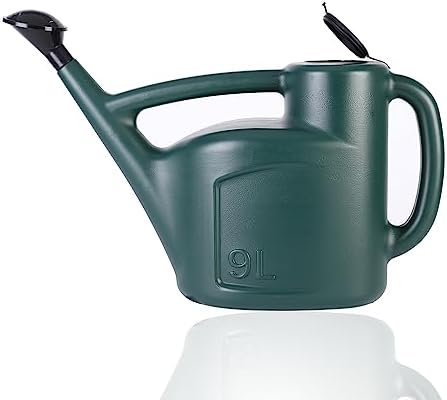 2+ Gallon Watering Can for Outdoor Plants,Large Garden Watering Can with Long Spout, Lid and Detachable Sprinkler Head, Leak Proof Heavy Duty Plastic Watering Pot for Indoor Plants - 9L by Ebristar