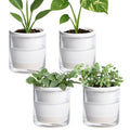 D'vine Dev Self-Watering White Terracotta Planter, 4 in, 4-Pack, 37-Z-A-2-F by DvineDevPlanterPotsandStand