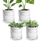 D'vine Dev Self-Watering White Terracotta Planter, 4 in, 4-Pack, 37-Z-A-2-F by DvineDevPlanterPotsandStand