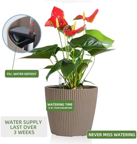 Dexceder 13x12 Self Watering Planters Indoor (2 Pack, Taupe) - Image 5
