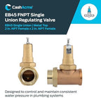 Cash Acme EB45 Pressure Regulating Valve, Double Union, 1 Inch NPT Female, Metal Top, 60 PSI, PVA20M-DUTH-60 - Image 2