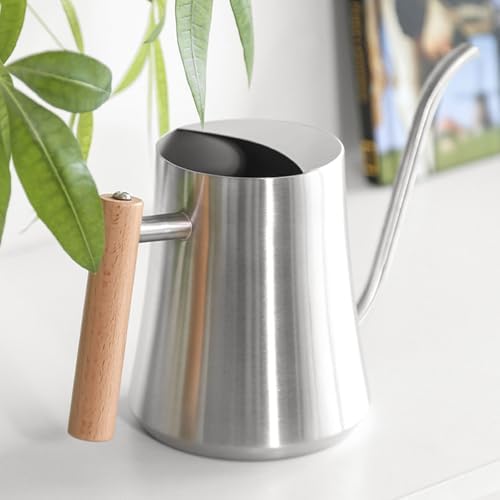 Pssopp Bonsai Watering Can Indoor Watering Can, 1ML for House Plant Bonsai Flower (Sanding 1L) - Image 2