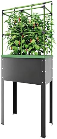 BioGreen Raised Garden Bed with Trellis Heidelberg | 11 gal | 1“L x 2.3“W x 7.6“H | Self-Watering Metal Planter Box | Ideal Growth for Climbing Plants by BioGreenUSAInc