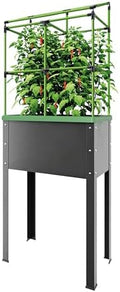BioGreen Raised Garden Bed with Trellis Heidelberg | 11 gal | 1“L x 2.3“W x 7.6“H | Self-Watering Metal Planter Box | Ideal Growth for Climbing Plants by BioGreenUSAInc