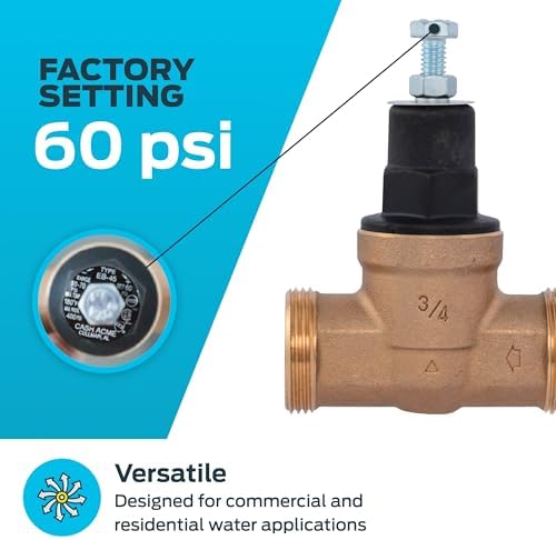 Cash Acme EB45 Pressure Regulating Valve, 3/4 Inch NPT Threaded, Poly Top, 60 PSI, PVA16P-DTH-60 - Image 3