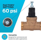 Cash Acme EB45 Pressure Regulating Valve, 3/4 Inch NPT Threaded, Poly Top, 60 PSI, PVA16P-DTH-60 - Image 3