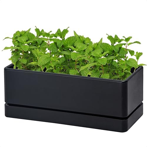 D'vine Dev Rectangular Planter, 12 x 4.5 in, Black, 76-X-B-1 by DvineDevPlanterPotsandStand