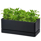 D'vine Dev Rectangular Planter, 12 x 4.5 in, Black, 76-X-B-1 by DvineDevPlanterPotsandStand