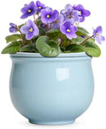 8 Inch African Violet Pots, Ceramic Self Watering Pots, Light Blue by Teagas