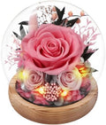 Casaido Preserved Roses Flowers for Delivery, Mothers Day Rose Gifts for Her, Pink Forever Flores in Glass Dome for Women Mom Wife Girlfriend, Anniversary Birthday Gift for Vanlentines Day Christmas by Casaido