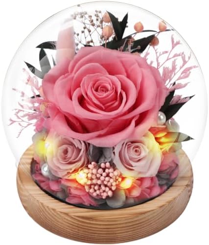 Casaido Preserved Roses Flowers for Delivery, Mothers Day Rose Gifts for Her, Pink Forever Flores in Glass Dome for Women Mom Wife Girlfriend, Anniversary Birthday Gift for Vanlentines Day Christmas by Casaido
