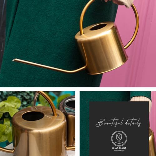 1.3l Stainless Steel Watering Can with Long Spout for Plants - Image 2