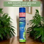 Chrysal LeafShine Spray for Indoor Plants (25oz 6 Pack) - Image 5