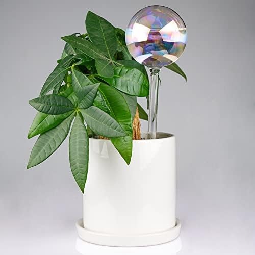 [6 PCS] Light Iridescent Rainbow Gradient Color Clear Glass Self-Watering System Spikes, Automatic Plant Waterer Bulbs - Image 6