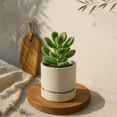 Phoenix Vine 4 Inch Planter Pot with Drainage Hole & Saucer, Deep Water Catch Tray, Straight Cylindrical Round Pot for Plants, Oatmeal, Pack of 4, 23-E-R-4 - Image 7