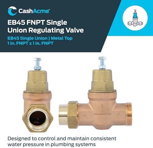 Cash Acme EB45 Pressure Regulating Valve, Single Union, 1 Inch NPT Female x NPT Female, Metal Top, 60 PSI, PVA20M-SUTH-60 - Image 2