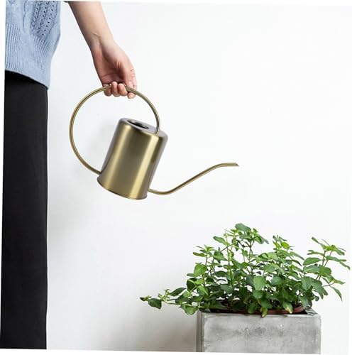 Stainless Steel Watering Can with Long Spout Rust-Resistant Simple Watering Kettle for Indoor and Outdoor Plants in Classic Golden Color for Garden and Home Use - Image 5