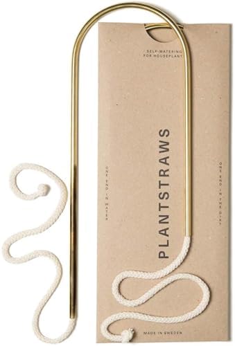 Beautiful Self-Watering Wick System for Effortless Plant Care, Automatic Drip Irrigation, Sustainable & Stylish Scandinavian Design, Ideal for House Plants (M, Brass Patina) by PLANTSTRAWS