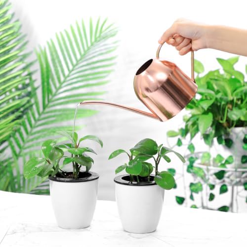 HANABASS 1000ml White Stainless Steel Water Can for Plants Scratch Modern Style - Image 4