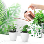 HANABASS 1000ml White Stainless Steel Water Can for Plants Scratch Modern Style - Image 4