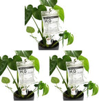 Plant Life Support - Automatic Watering System for Houseplants - Fun Garden Gifts - Home Accessories - Indoor Waterer (Pack of 3) by BubblegumStuff