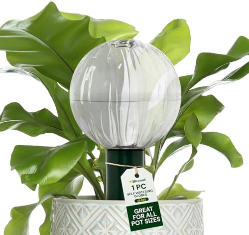 Blumat Glass Plant Self-Watering Globes - Automatic Houseplant Drip Waterer - Image 2