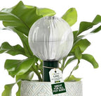 Blumat Glass Plant Self-Watering Globes - Automatic Houseplant Drip Waterer - Image 2