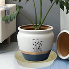 3 Pack of 25 26 inch Plant Saucer (22.7 Inch Base), 4.2" Depth, Large Deep Plastic Flower Planter Water Trays for Indoors Outdoor Bath Bath, Plant Drip Trays for Pot (26", Beige) - Image 7