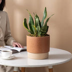 8 Inch Ceramic Self Watering Planter with Drainage Hole Terracotta - Image 7