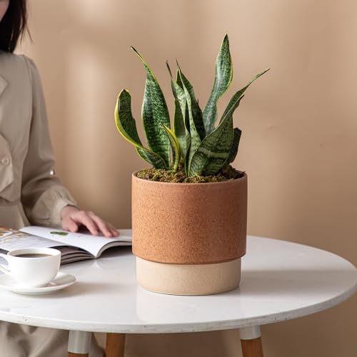8 Inch Ceramic Self Watering Planter with Drainage Hole Terracotta - Image 7