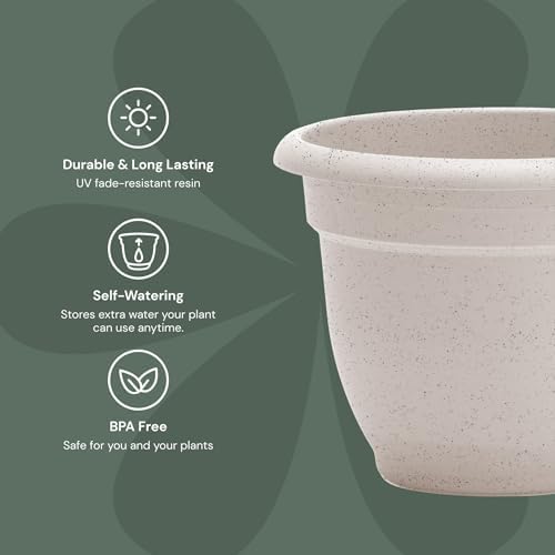 Bloem Ariana 12" Plastic Self-Watering Planter, Vanilla Bean, 2-Pack - Image 3