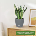Dexceder 9x8 Self Watering Planter (Deep Gray Rattan) - Image 6