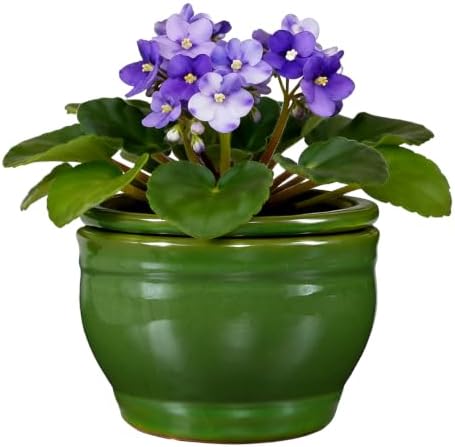 Self Watering Pot for African Violets Indoor Outdoor Plants, 6 inch, Green by SanmudecorGarden